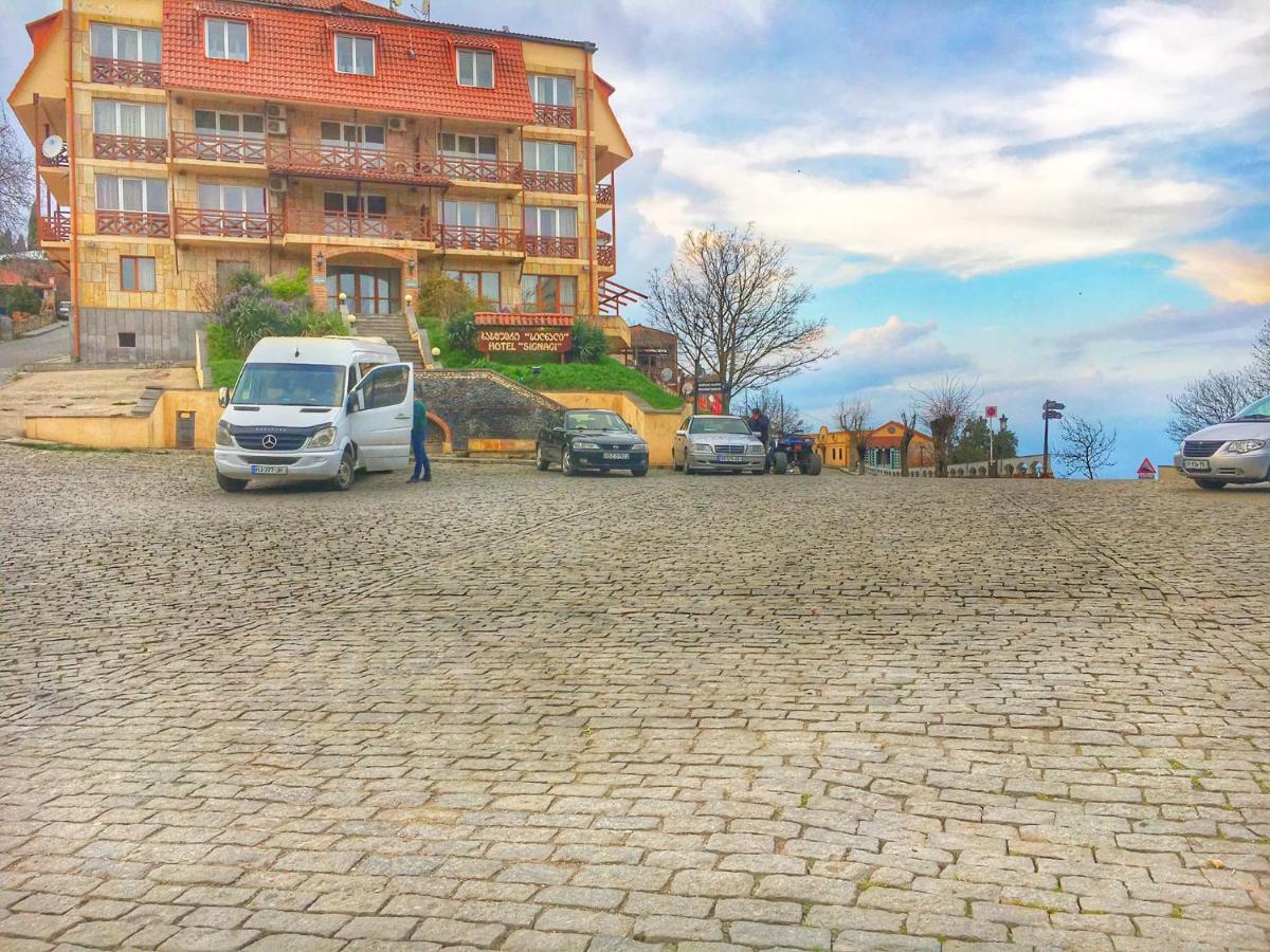Tsitso & Soso Guesthouse Tsnoristskali エクステリア 写真