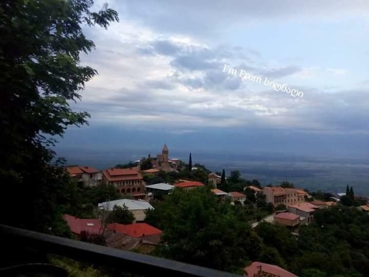 Tsitso & Soso Guesthouse Tsnoristskali エクステリア 写真