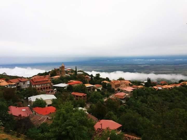 Tsitso & Soso Guesthouse Tsnoristskali エクステリア 写真
